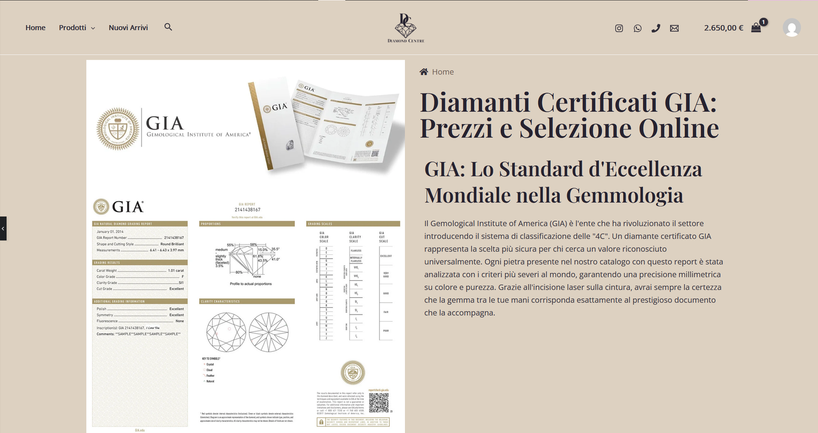 Sviluppo e-commerce WordPress Roma